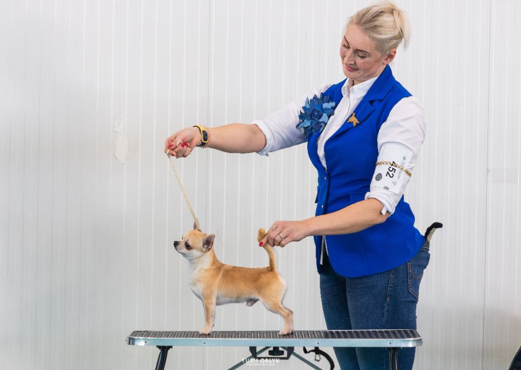 Stairway to heaven at lookum